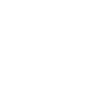 Custom Automation and Robotics
